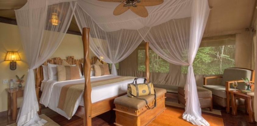 4 day lake nakuru - pink shores