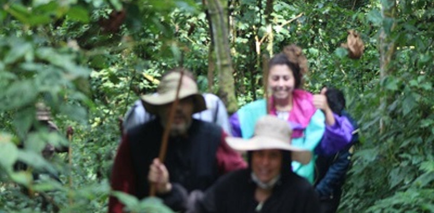3-day trek and meet gorillas in bwindi np mid-range tour