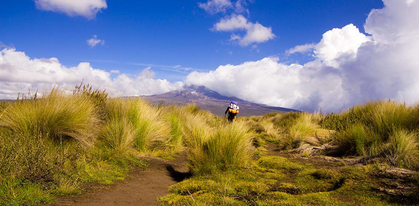 Mount kenya sirimon narumoru, 4 days climbing