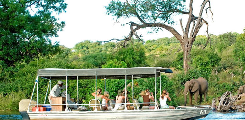 Victoria falls river safaris 