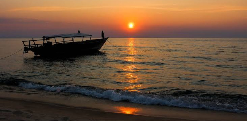 Amaizing safari to the western parks in tanzania
