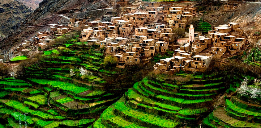 Day trip to chefchaouen from fez