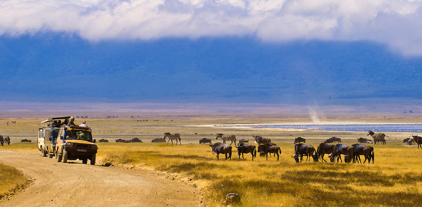 7 Day Safari to Northern Tanzania