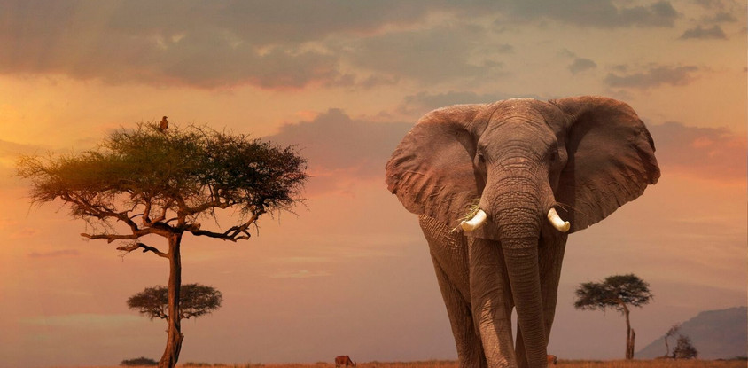 3 days 2 nights amboseli national park