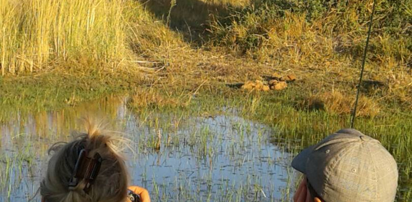 5 day big five safari in okavango delta, botswana