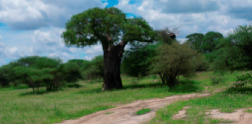  two 2 days mid-range tarangire, ngorongoro crater 