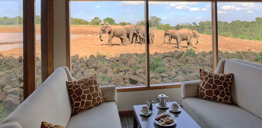 5 days aberdares / lake naivasha / masai mara luxury safari