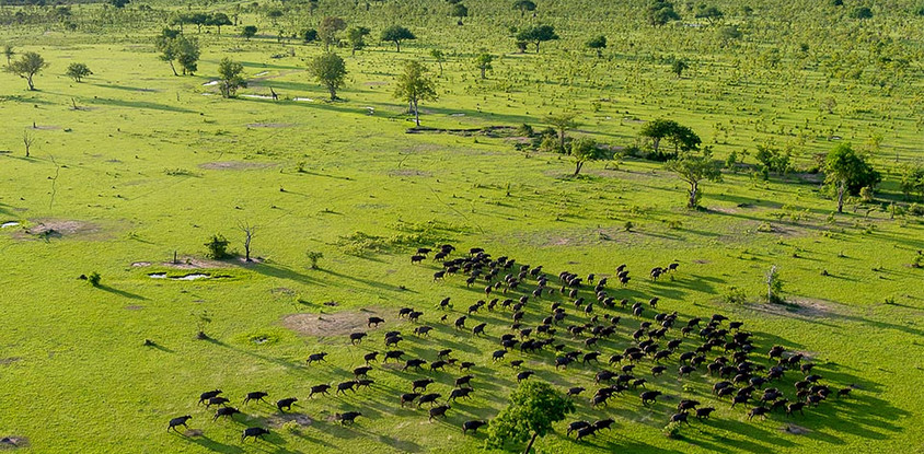 4 Day Safari to Selous Game Reserve