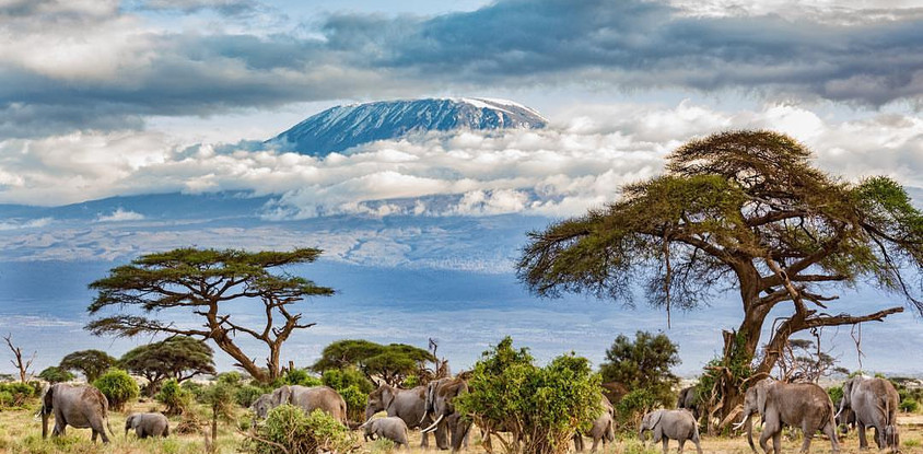 Mount kilimanjaro (highest in africa) machame route