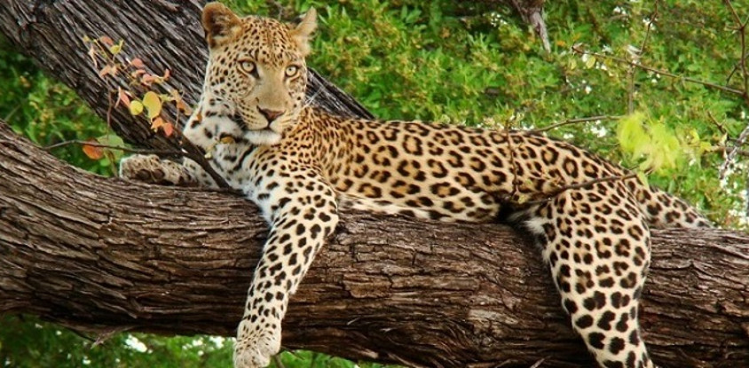 8-day uganda's finest tourism destinations 