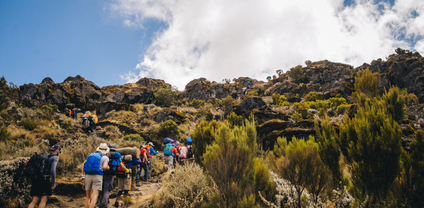 Umbwe route - 7 days-mount kilimanjaro national park