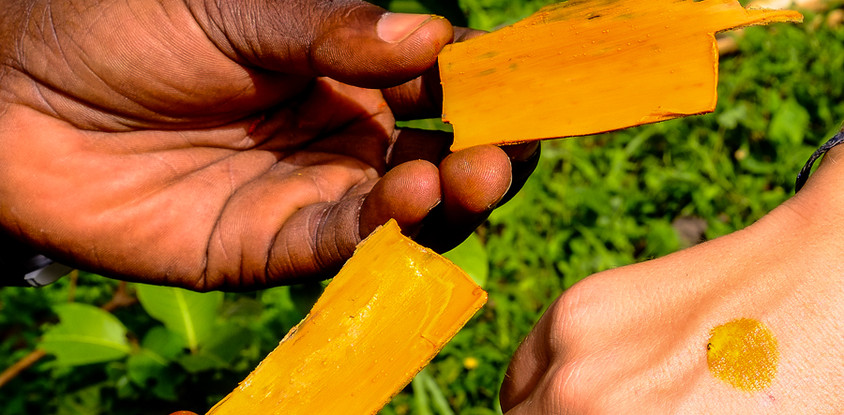 Ecotours kpalime 