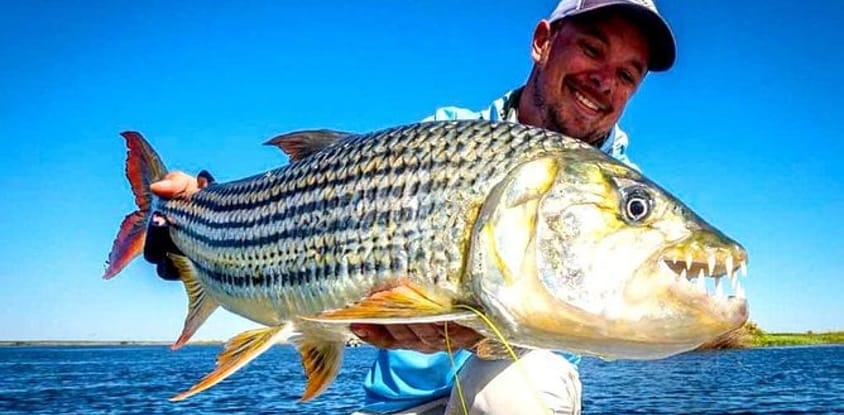 Zambezi river fishing excursion