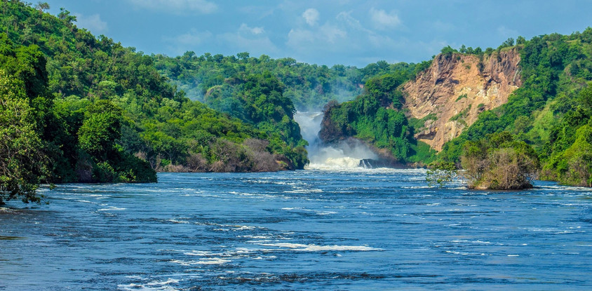 5 days ultimate uganda: big game & chimps safari experience