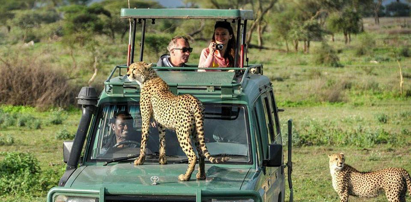 3 days tarangire national park, ngorongoro crater & lake manyara