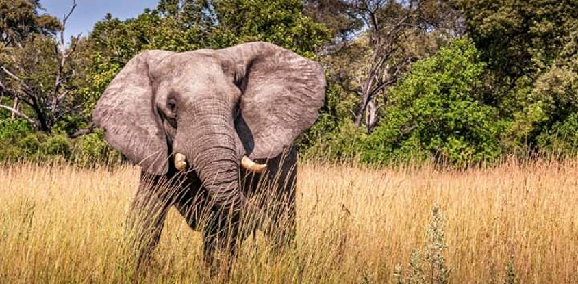 3 days tanzania safari arusha national park, lake manyara national park, ngorongoro crater