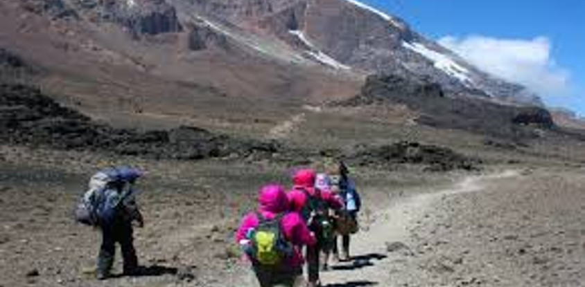 8 days lemosho route kilimanjaro trekking