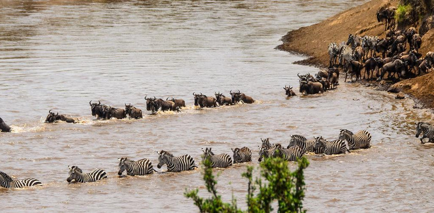 3 days maasai mara