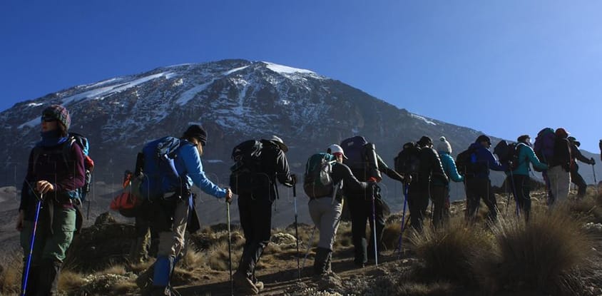 Kilimanjaro trekking