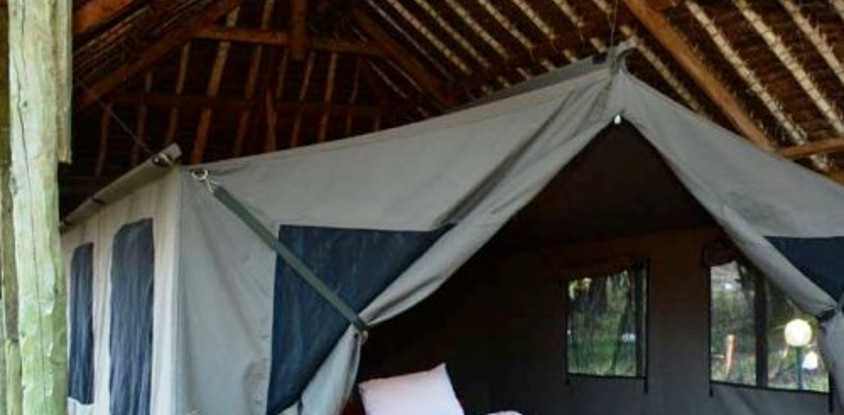 8 days 7 nights kenya safaris 