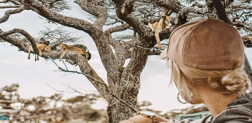 Day trip to lake manyara national park