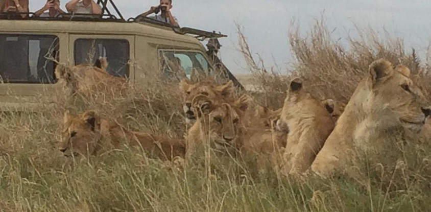 4 days safari tarangire national park, ngorongoro, serengeti national park