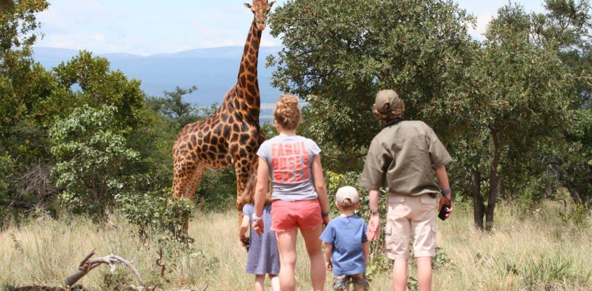 Family adventure in nairobi, lake naivasha and maasai mara