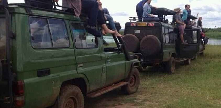 2 days akagera national park wildlife safari