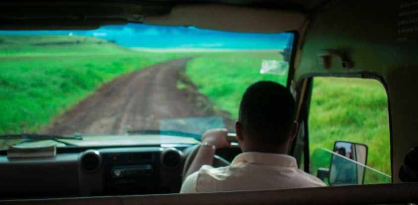 2 days tanzania lodge ( luxury) safari 