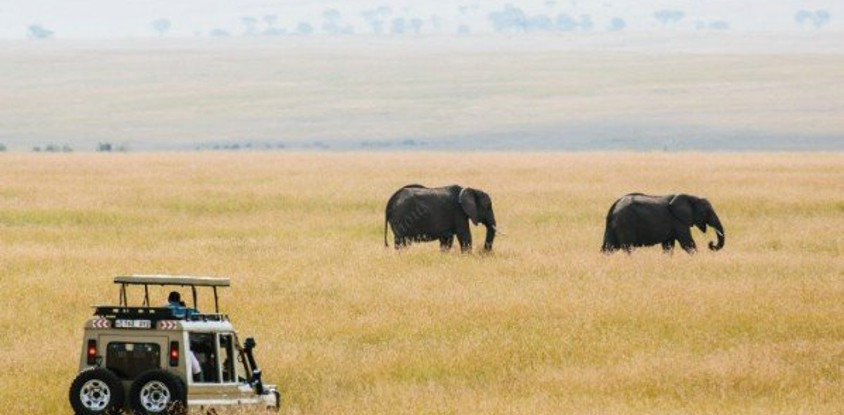  flying safari 3 days maasai mara