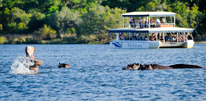 Zambezi river cruises 