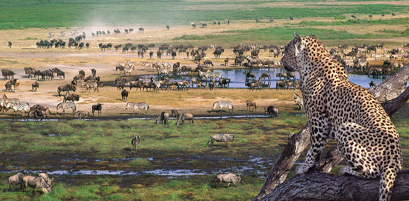 4 day camping safari serengeti and ngorongoro