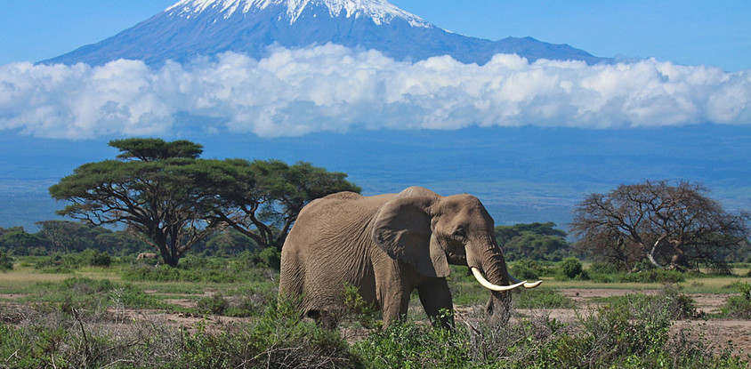 3 days amboseli national park 