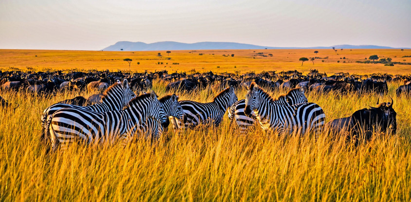 4 days masai mara & lake nakuru