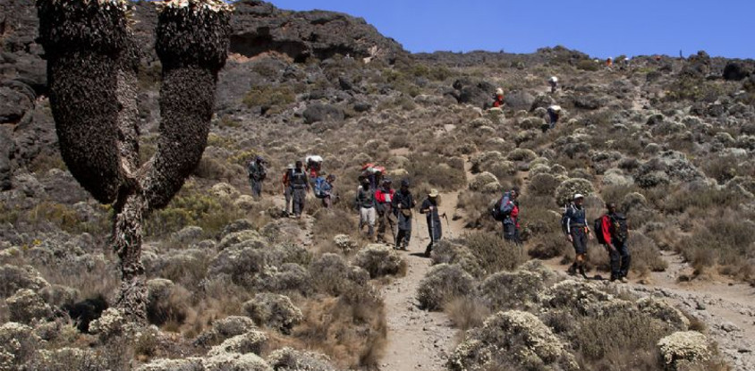 10 days mountaineering rwenzori/ uganda