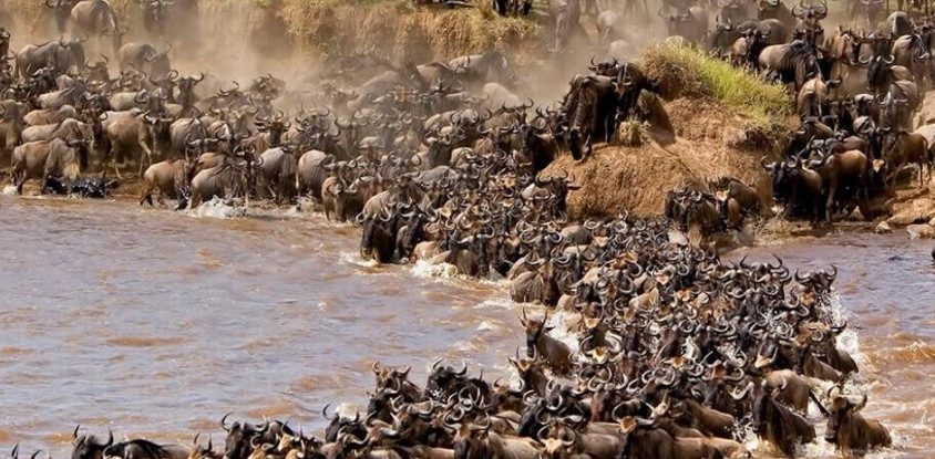 3 days masai mara safaris in kenya - 2019 tour