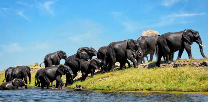 9 days kenya family safari holidays