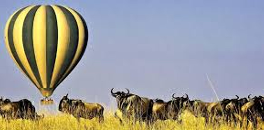 6 days serengeti wildebeest migration holiday safari tours