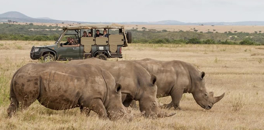 3 DAYS OLPEJETA CONSERVANCY