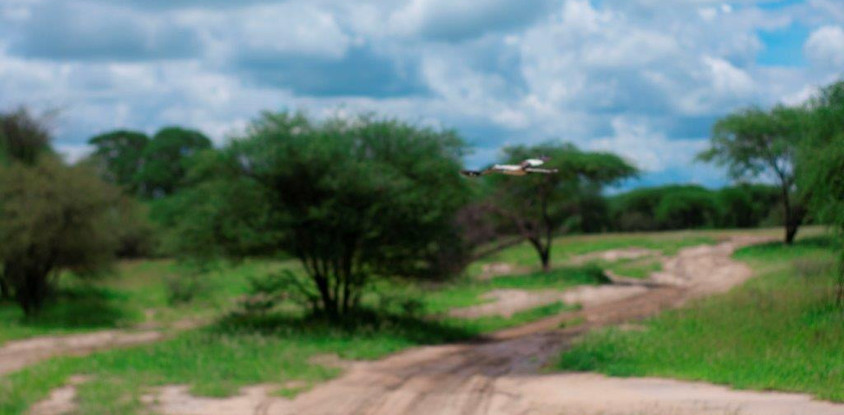 3 days tanzania mid-range safari to serengeti and ngorongoro