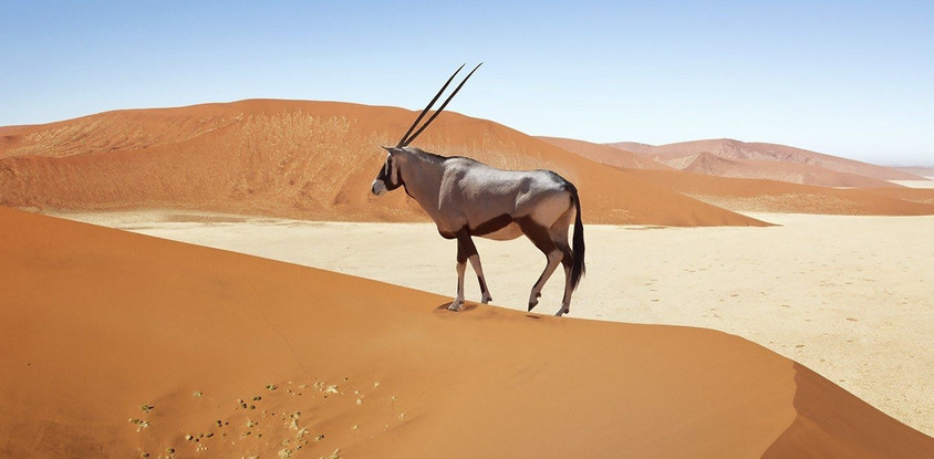 3 days sossusvlei safari (lodging) namibia
