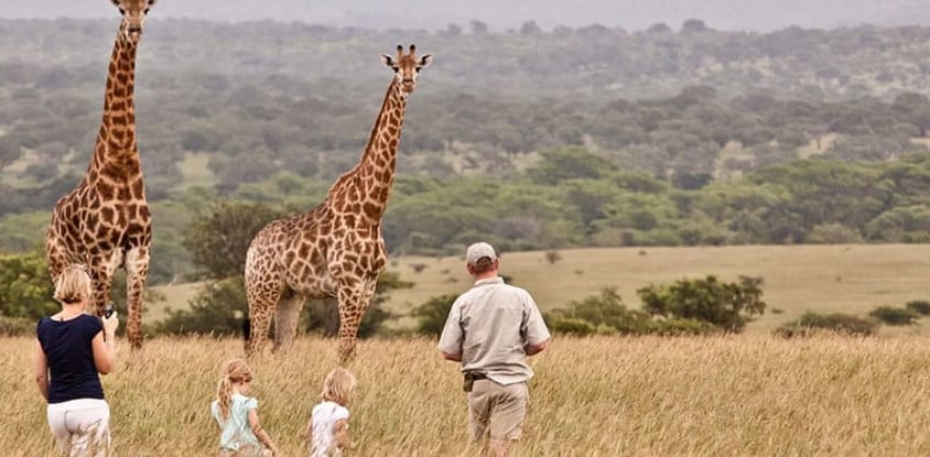 1-day tarangire trip
