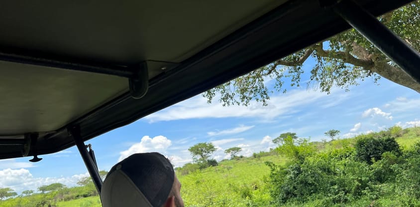 Ultimate uganda luxury safari - 14 days