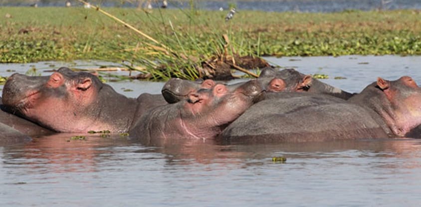 2-day ngorongoro- materuni & kikuletwa hotspring safari