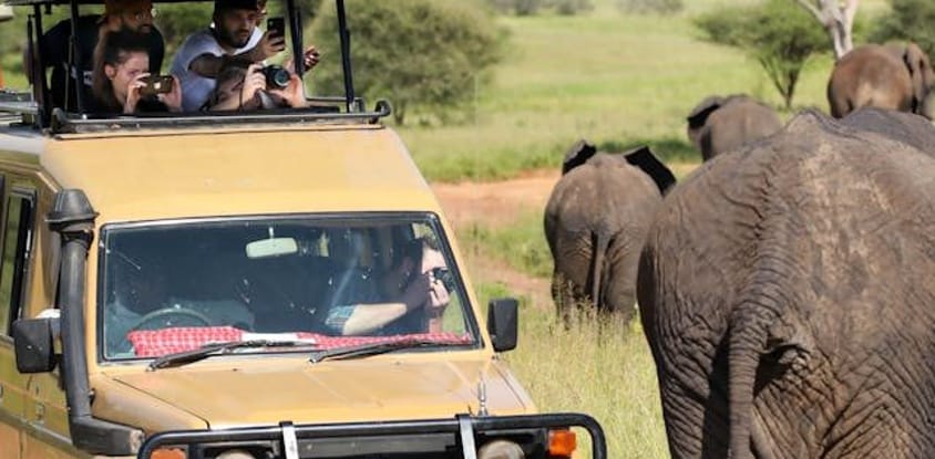 2 days budget camping safari tarangire and ngorongoro