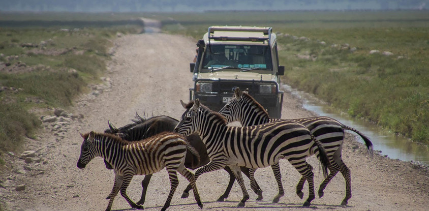2 days tarangire national park and ngorongoro crater - mid range