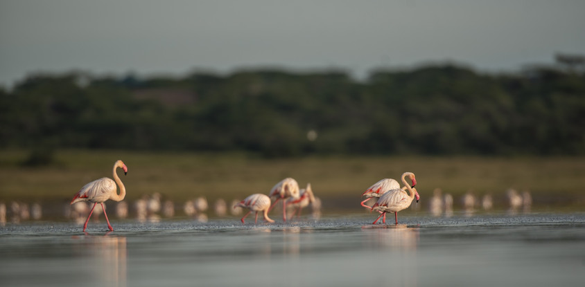 3-day classic tanzania safari: tarangire & ngorongoro