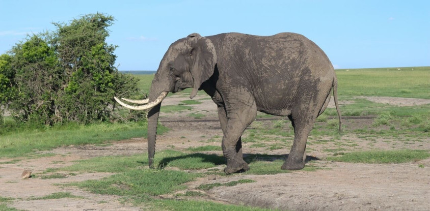3 days masai mara daily departures 