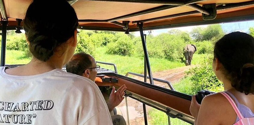 3 days private tour tarangire lake manyara national park & ngorongoro crater 