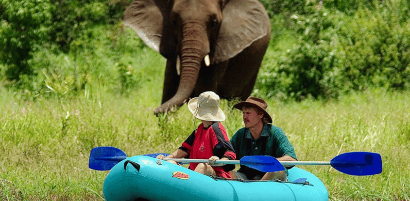 3nights /4days - zambezi island canoe trail